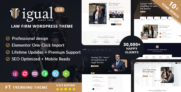 Igual – Lawyer Attorney Law Firm WordPress Theme 2.0.3